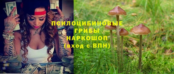 соль курить ск Горняк