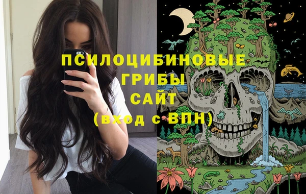 соль курить ск Горняк