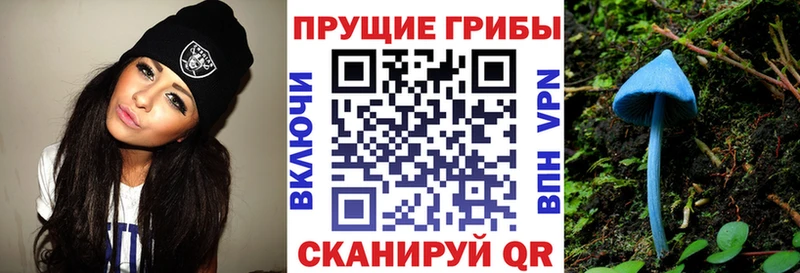 Купить где  Сухиничи  Псилоцибиновые грибы мухоморы 